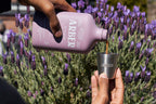 Everyday Home Bio Fungicide Indoor Outdoor Concentrate for daily home and personal routines with garden plant and outdoor supplies