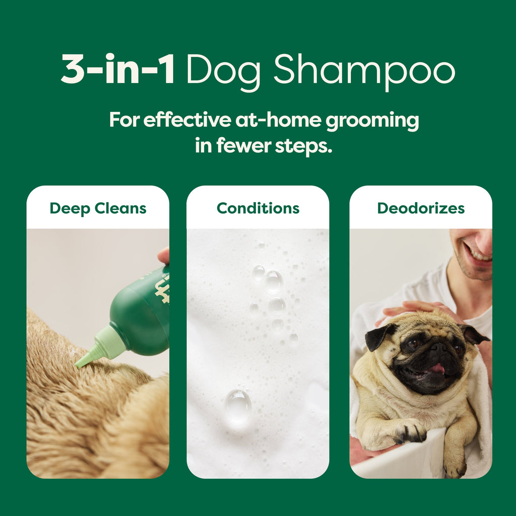 Routine Ready 3-in-1 Short Coat Dog Shampoo for daily home and personal routines with hair care