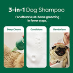 Routine Ready 3-in-1 Short Coat Dog Shampoo for daily home and personal routines with hair care