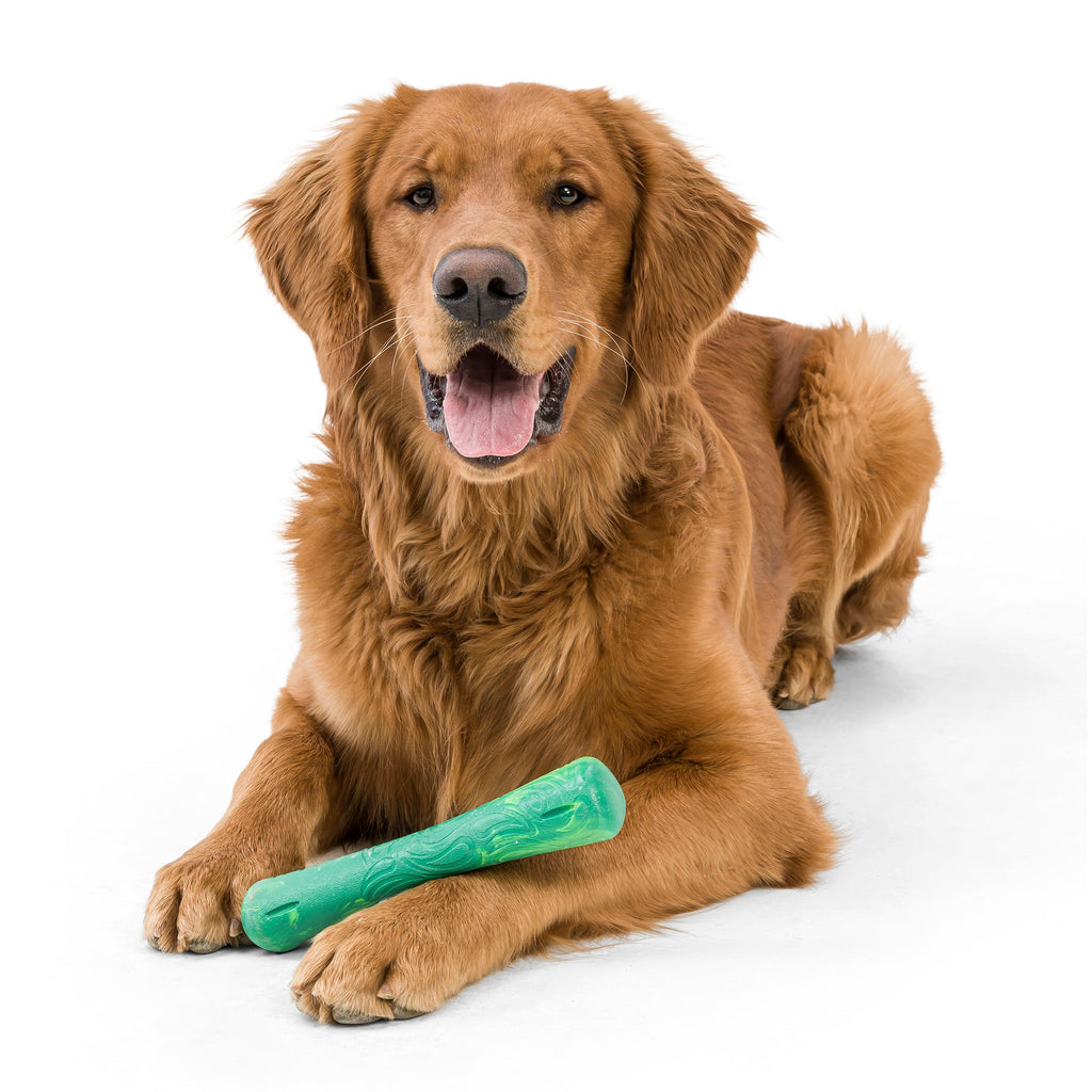 Daily Care Fetch and Chew Drifty Dog Toy made from Ocean-Bound Recycled Plastic - Small for daily home and personal routines with pet care treats and accessories