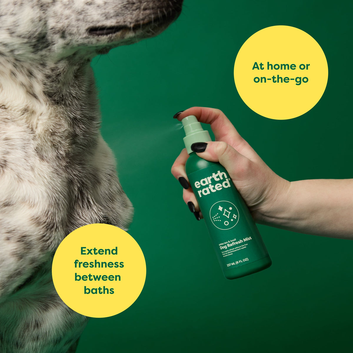 Practical Living Deodorizing and Conditioning Refresh Mist for Dogs for daily home and personal routines with pet care treats and accessories