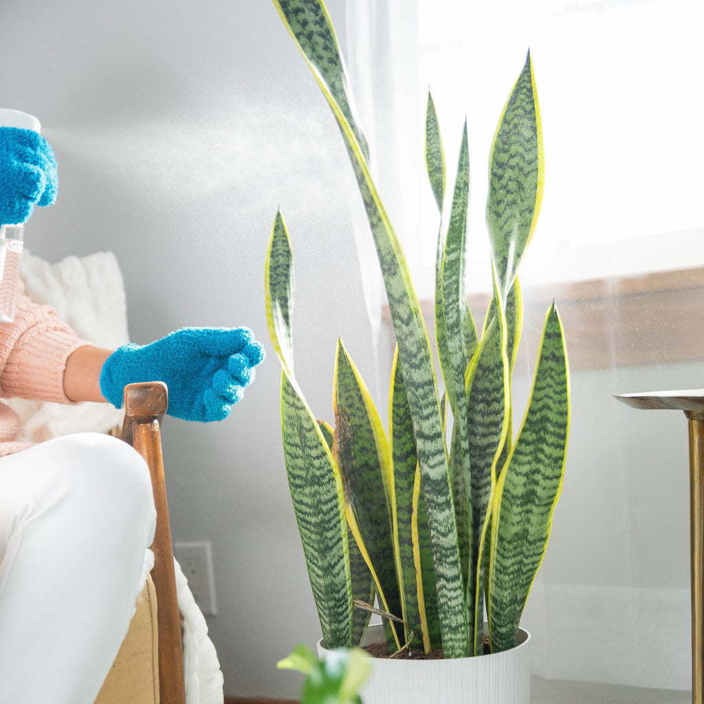 Practical Living Instant Indoor Plant Protection for daily home and personal routines with garden plant and outdoor supplies