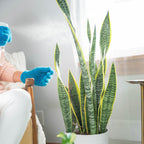 Practical Living Instant Indoor Plant Protection for daily home and personal routines with garden plant and outdoor supplies