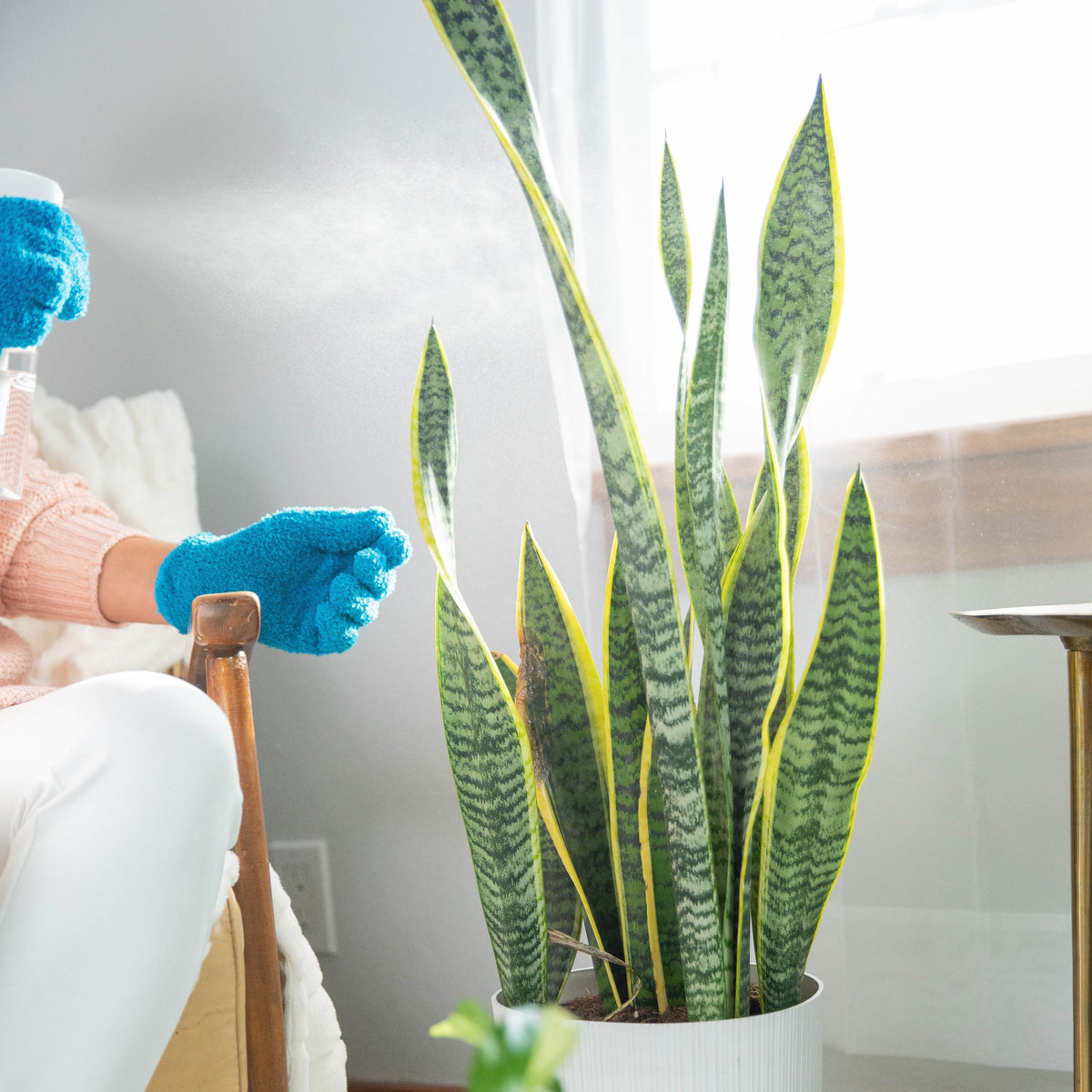 Practical Living Instant Indoor Plant Protection for daily home and personal routines with garden plant and outdoor supplies