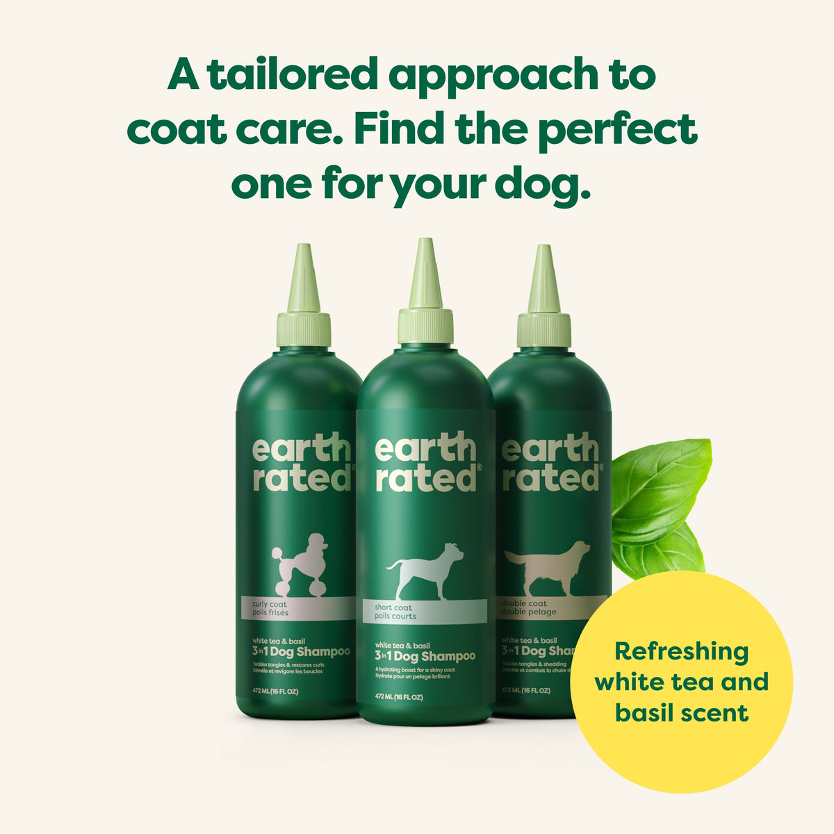 Routine Ready 3-in-1 Curly Coat Dog Shampoo for daily home and personal routines with hair care