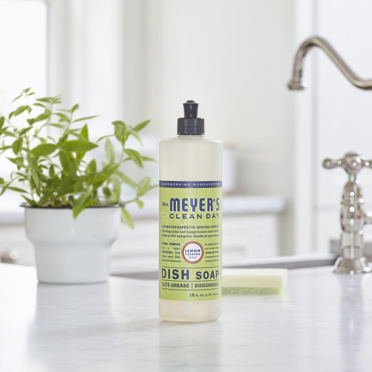 Daily Care Dish Soap for daily home and personal routines with cleaning laundry and paper products