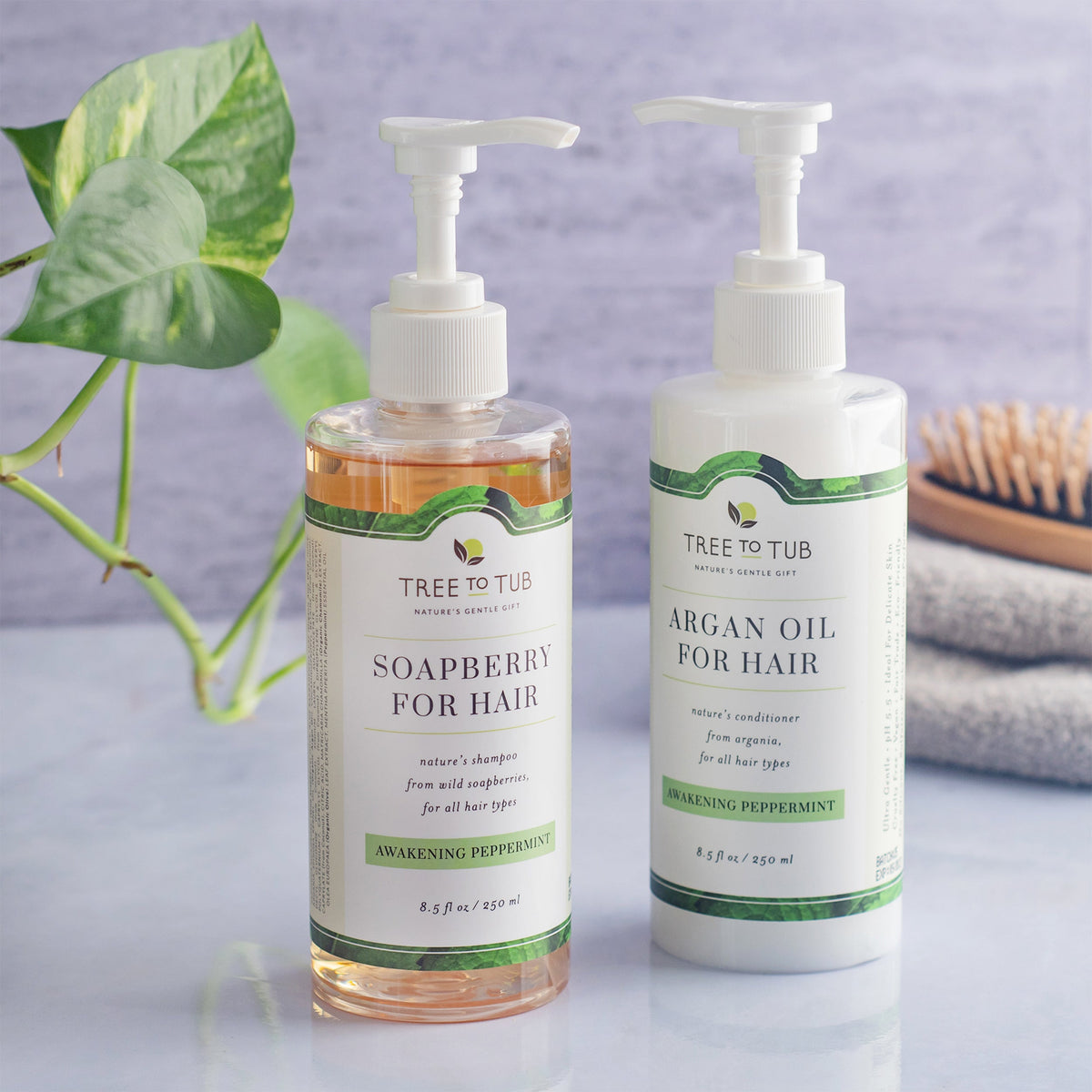 Daily Care Argan Oil Cleansing Conditioner for Oily Hair for daily home and personal routines with hair care