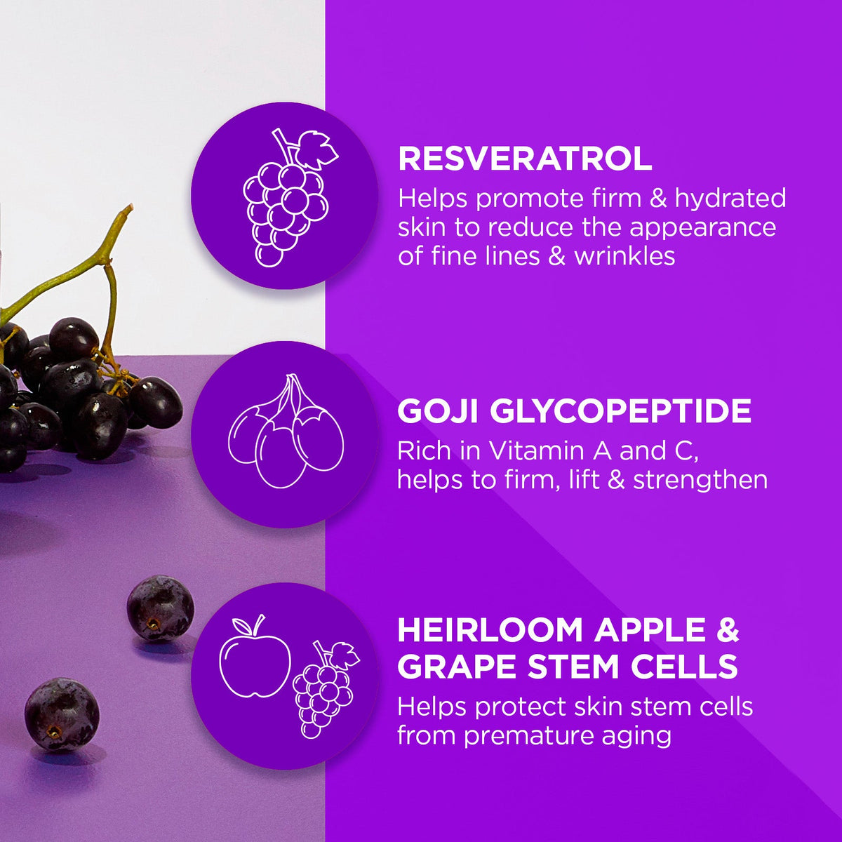 Practical Living Age Defying Resveratrol Q10 Night Repair Cream for daily home and personal routines with facial skin and sun care