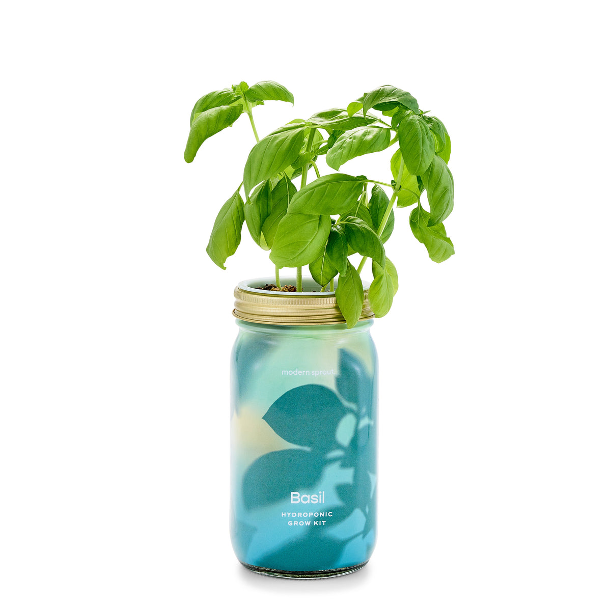 Routine Ready Garden Jar for daily home and personal routines with garden plant and outdoor supplies