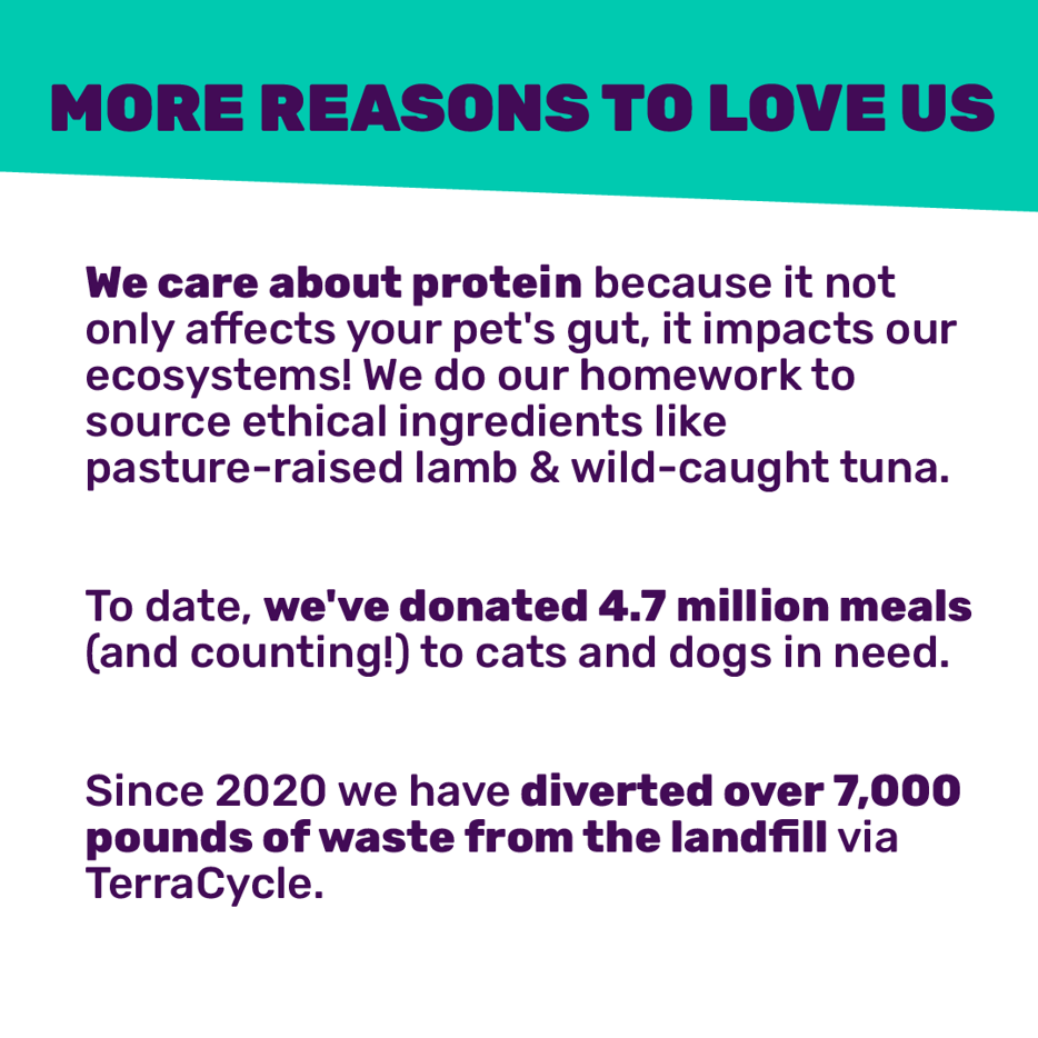 Practical Living Baked and Saucy w Chicken + Sweet Potato Baked Kibble for daily home and personal routines with pet care treats and accessories