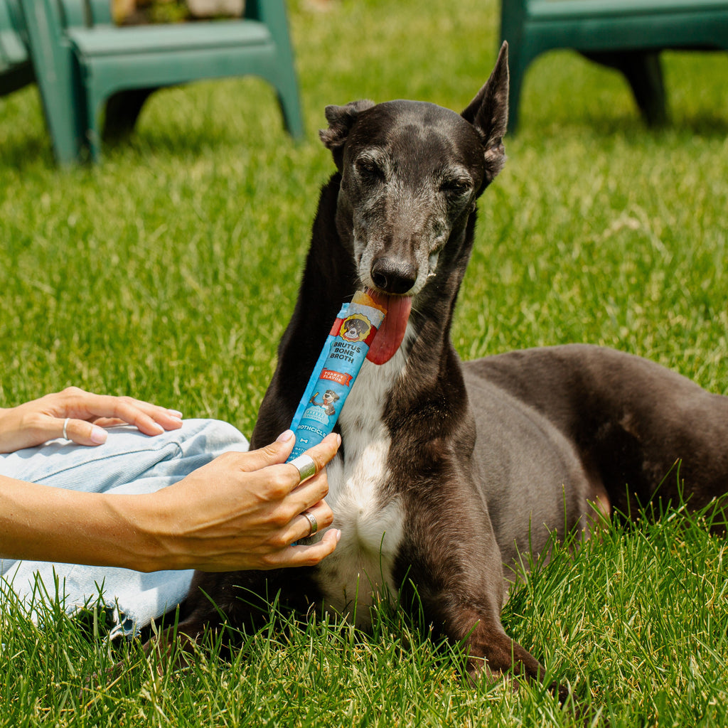 Home Essentials Brutus Brothcicles for daily home and personal routines with pet care treats and accessories