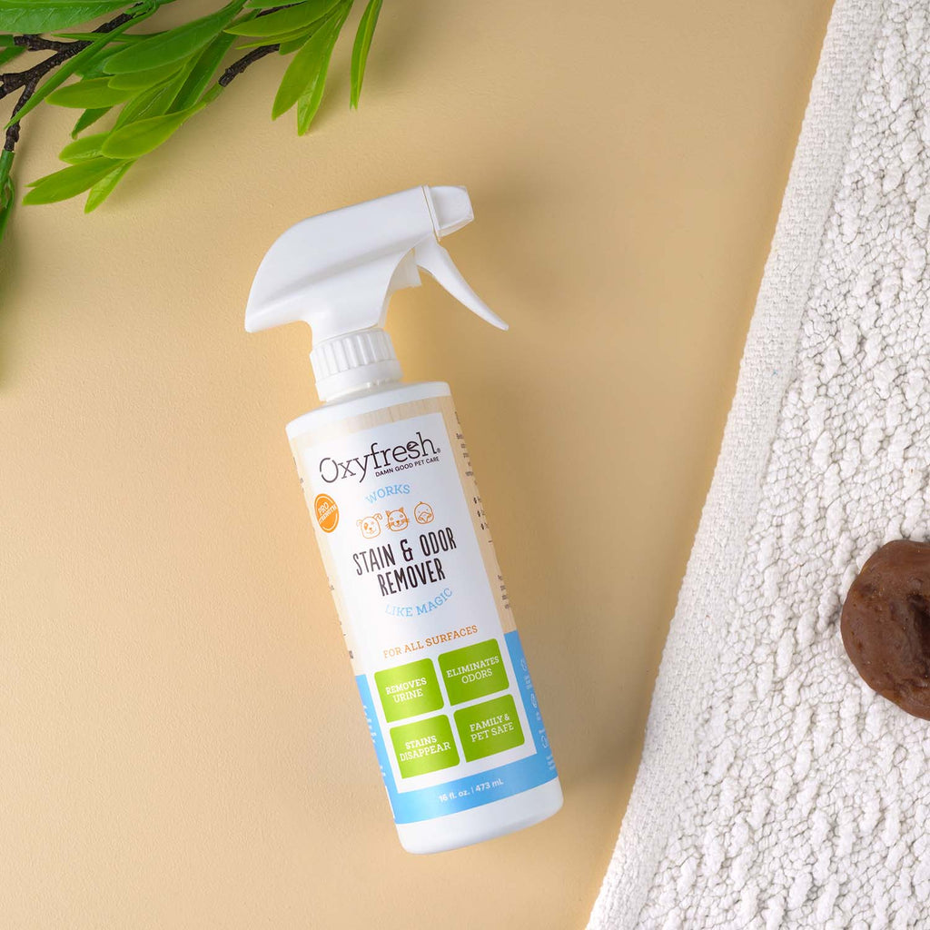 Practical Living All-Surface Pet Stain and Odor Eliminator for daily home and personal routines with facial skin and sun care