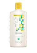 Brilliant Shine Sunflower & Citrus Conditioner