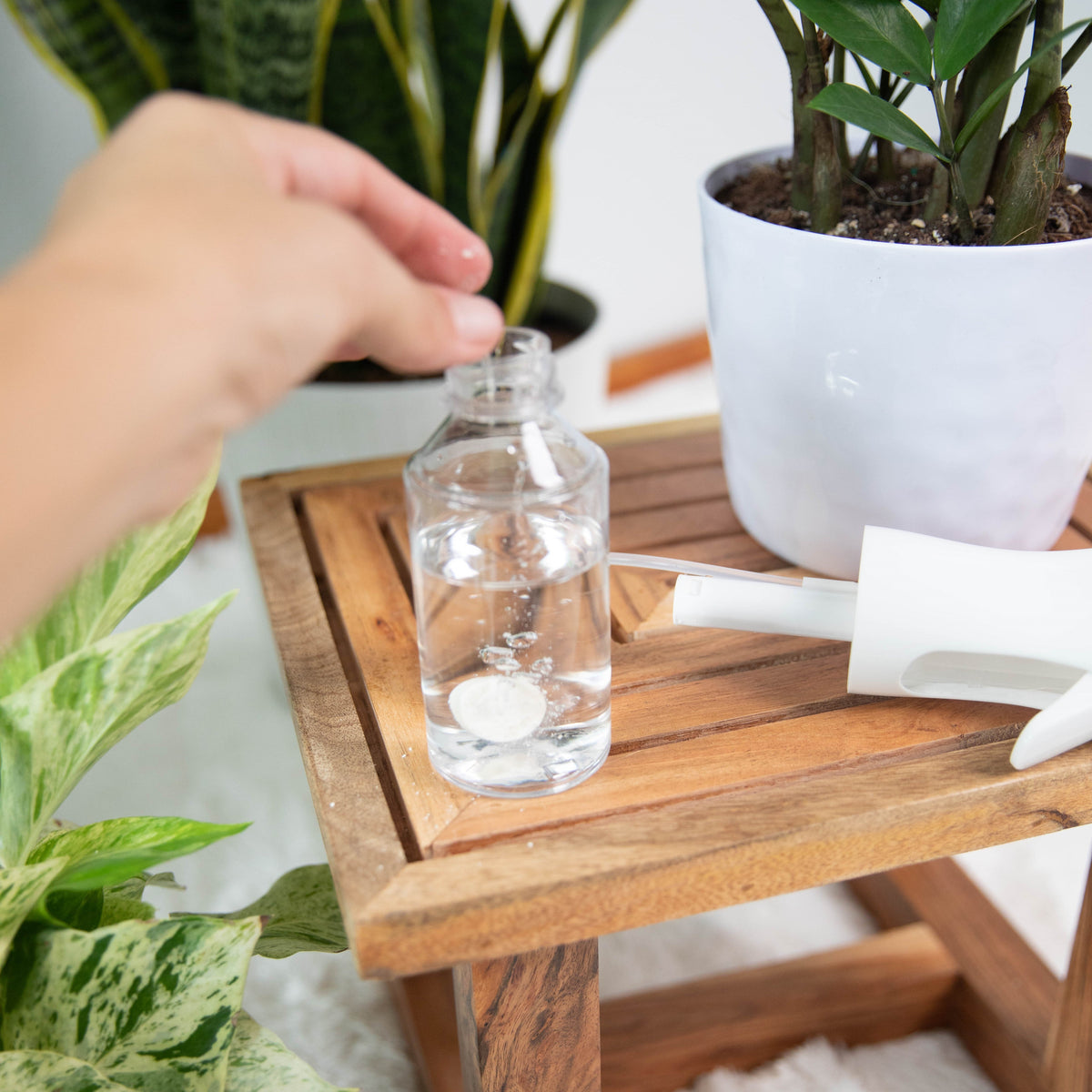 Practical Living Instant Indoor Plant Protection for daily home and personal routines with garden plant and outdoor supplies