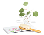 Everyday Home Ceramic Sink-Side Tray for daily home and personal routines with general everyday essentials