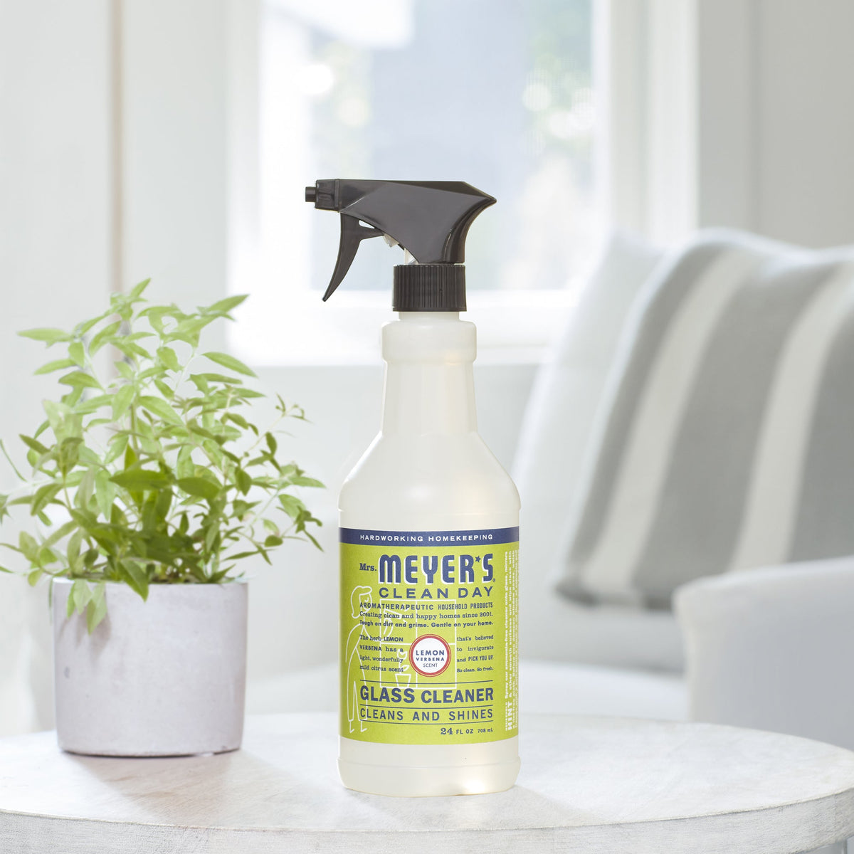 Daily Care Glass Cleaner for daily home and personal routines with cleaning laundry and paper products