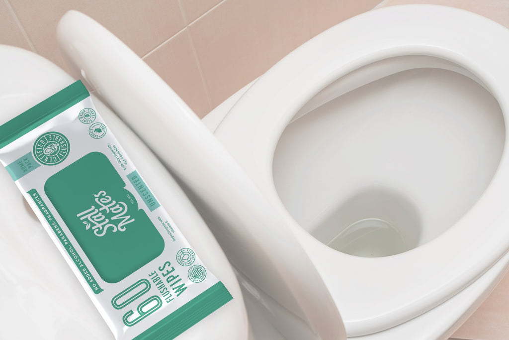 Daily Care Flushable Wipes for daily home and personal routines with general everyday essentials