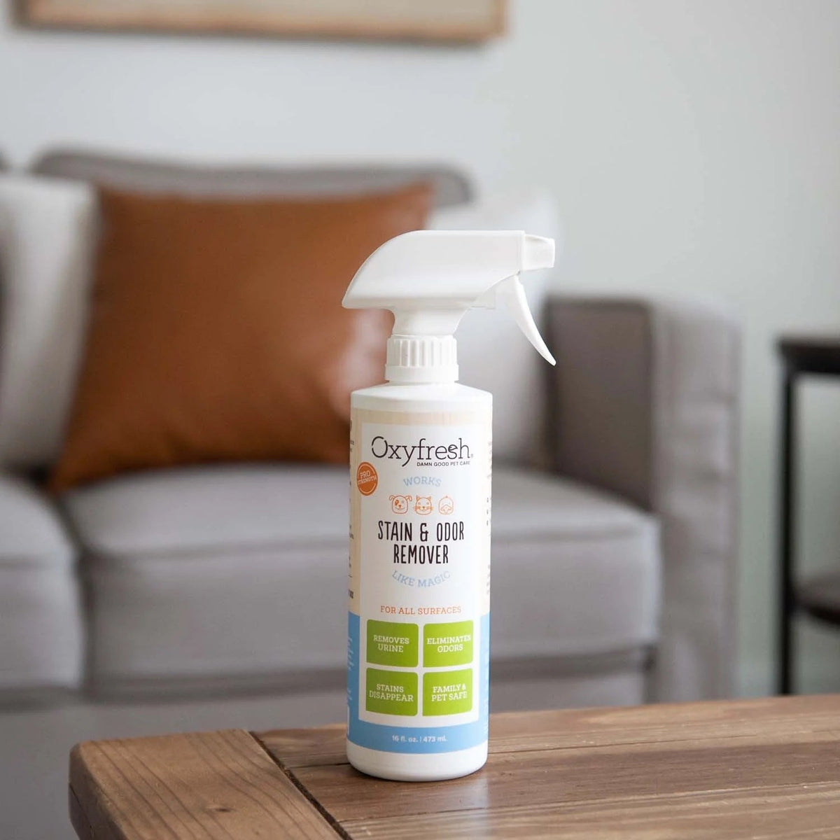 Practical Living All-Surface Pet Stain and Odor Eliminator for daily home and personal routines with facial skin and sun care
