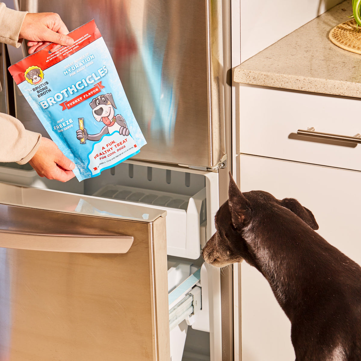 Home Essentials Brutus Brothcicles for daily home and personal routines with pet care treats and accessories