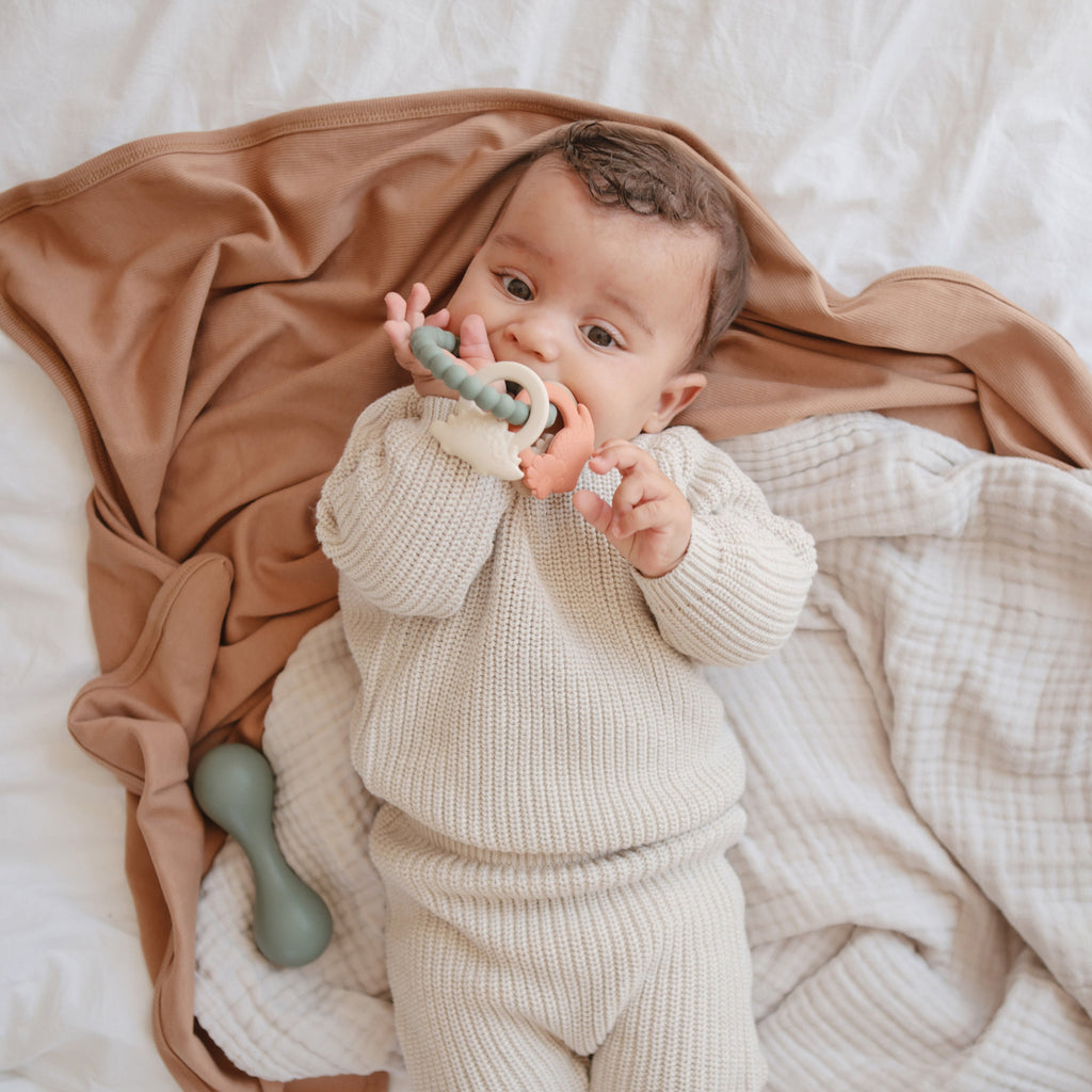 Routine Ready Dino Teething Ring Safe and non-toxic BPA-included, Food-Grade Silicone for daily home and personal routines with baby care and kids products