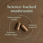 Routine Ready Healthy Aging, Reishi Mushroom for daily home and personal routines with general everyday essentials