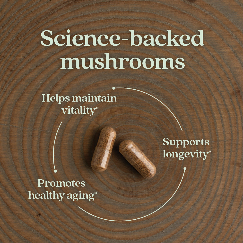 Routine Ready Healthy Aging, Reishi Mushroom for daily home and personal routines with general everyday essentials