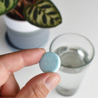 Home Essentials Instant Plant Food Tablets for daily home and personal routines with garden plant and outdoor supplies