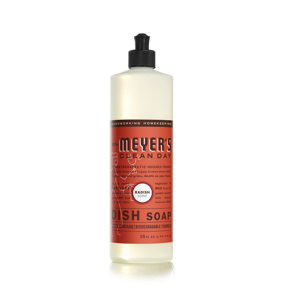 Daily Care Dish Soap for daily home and personal routines with cleaning laundry and paper products