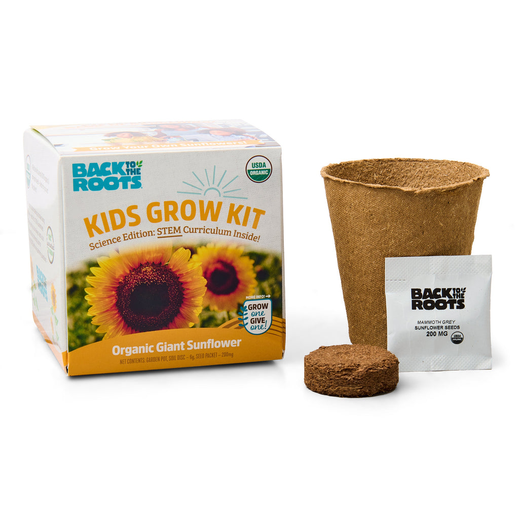 Daily Care Kids Sunflower Grow Kit for daily home and personal routines with baby care and kids products