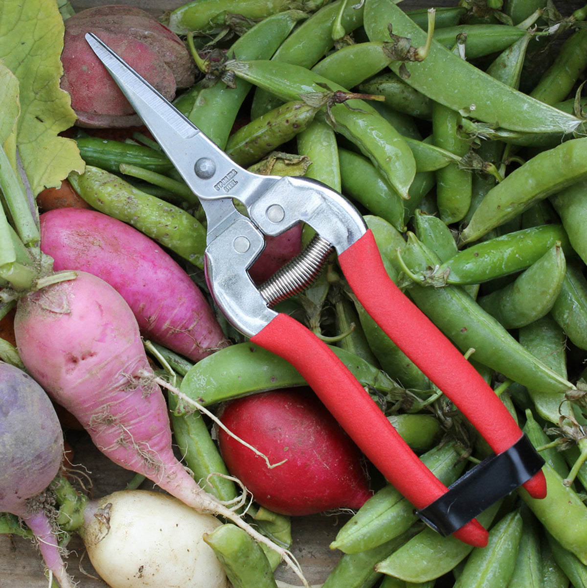 Home Essentials Compact Pruning Shears for daily home and personal routines with garden plant and outdoor supplies