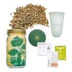 Routine Ready Garden Jar for daily home and personal routines with garden plant and outdoor supplies