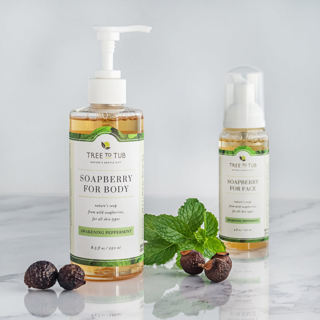 Daily Care Balancing Tea Tree Face Wash for Oily Skin for daily home and personal routines with facial skin and sun care