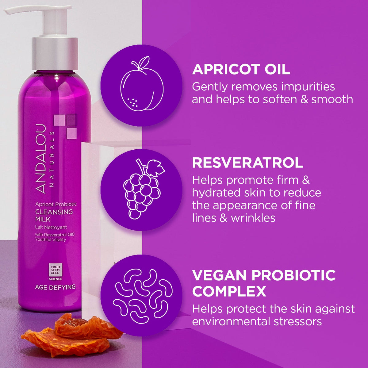 Home Essentials Age Defying Apricot Probiotic Cleansing Milk for daily home and personal routines with facial skin and sun care