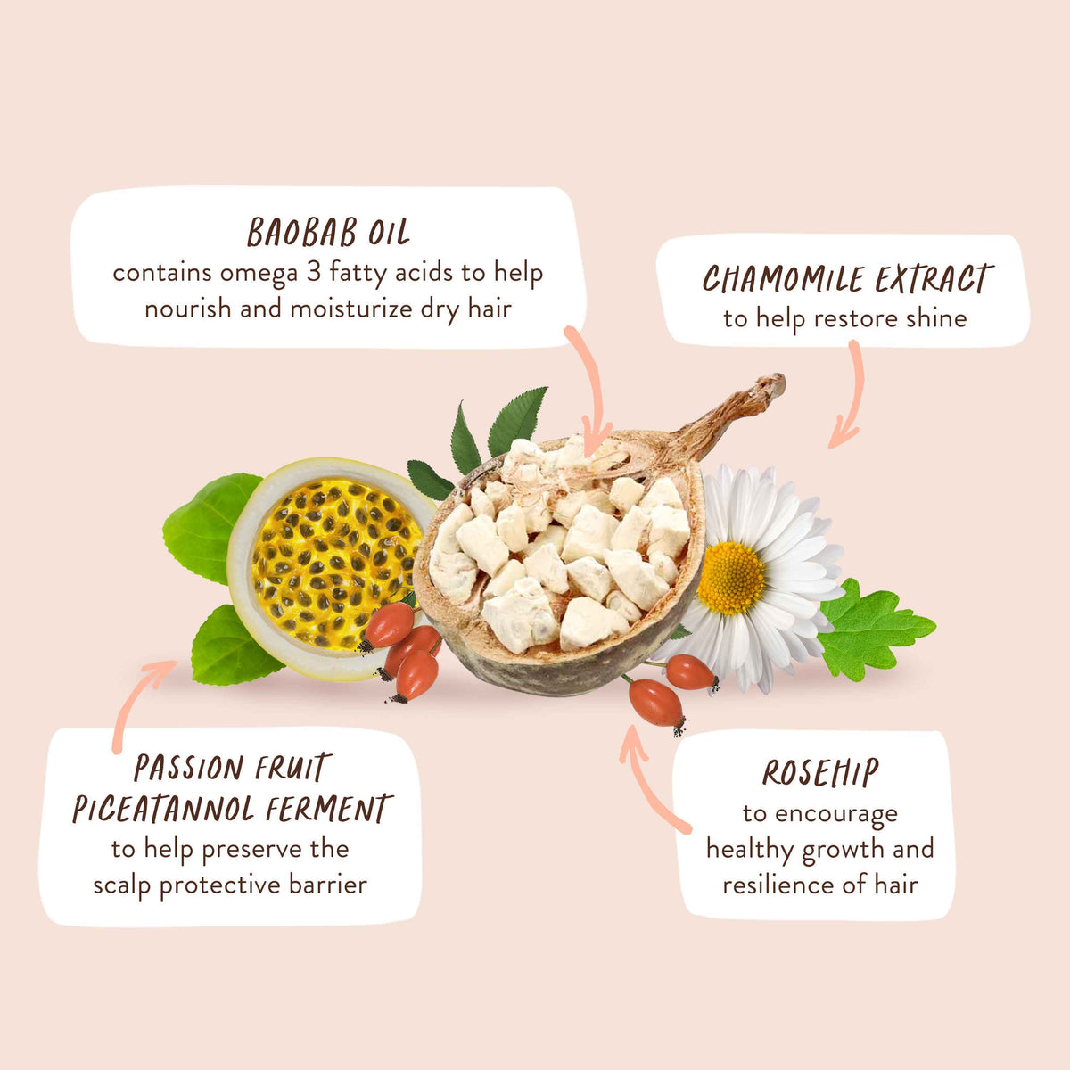 Practical Living Defining Baobab and Rosehip Shampoo for daily home and personal routines with hair care