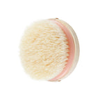 Routine Ready Dry Body Brush for daily home and personal routines with cleaning laundry and paper products