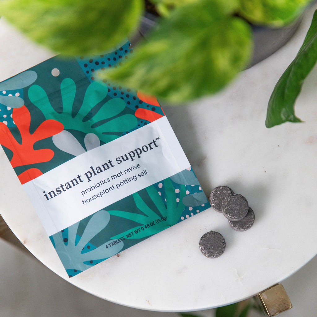 Routine Ready Instant Plant Support for daily home and personal routines with garden plant and outdoor supplies