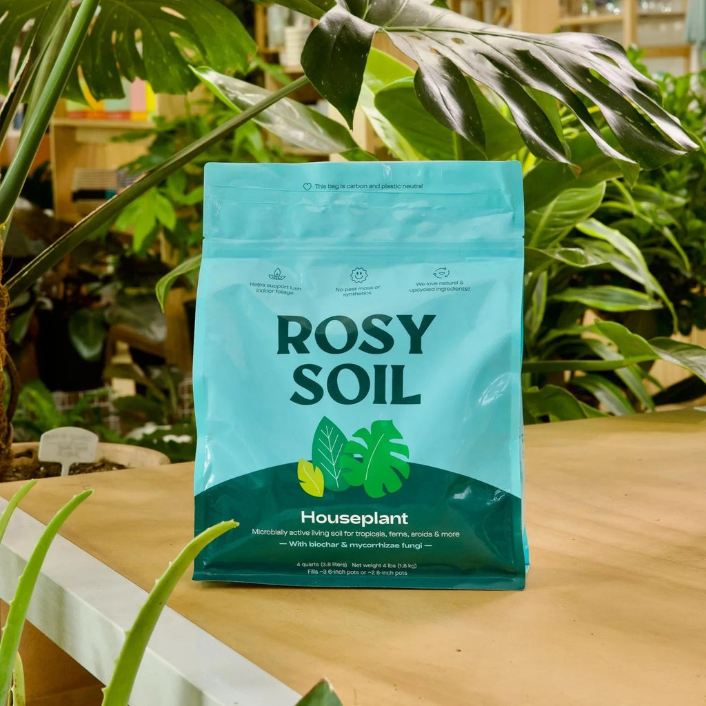 Home Essentials Houseplant Potting Soil for daily home and personal routines with cookware food storage and kitchen tools