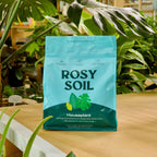 Home Essentials Houseplant Potting Soil for daily home and personal routines with cookware food storage and kitchen tools