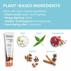 Routine Ready Complete Care Toothpaste for daily home and personal routines with oral care