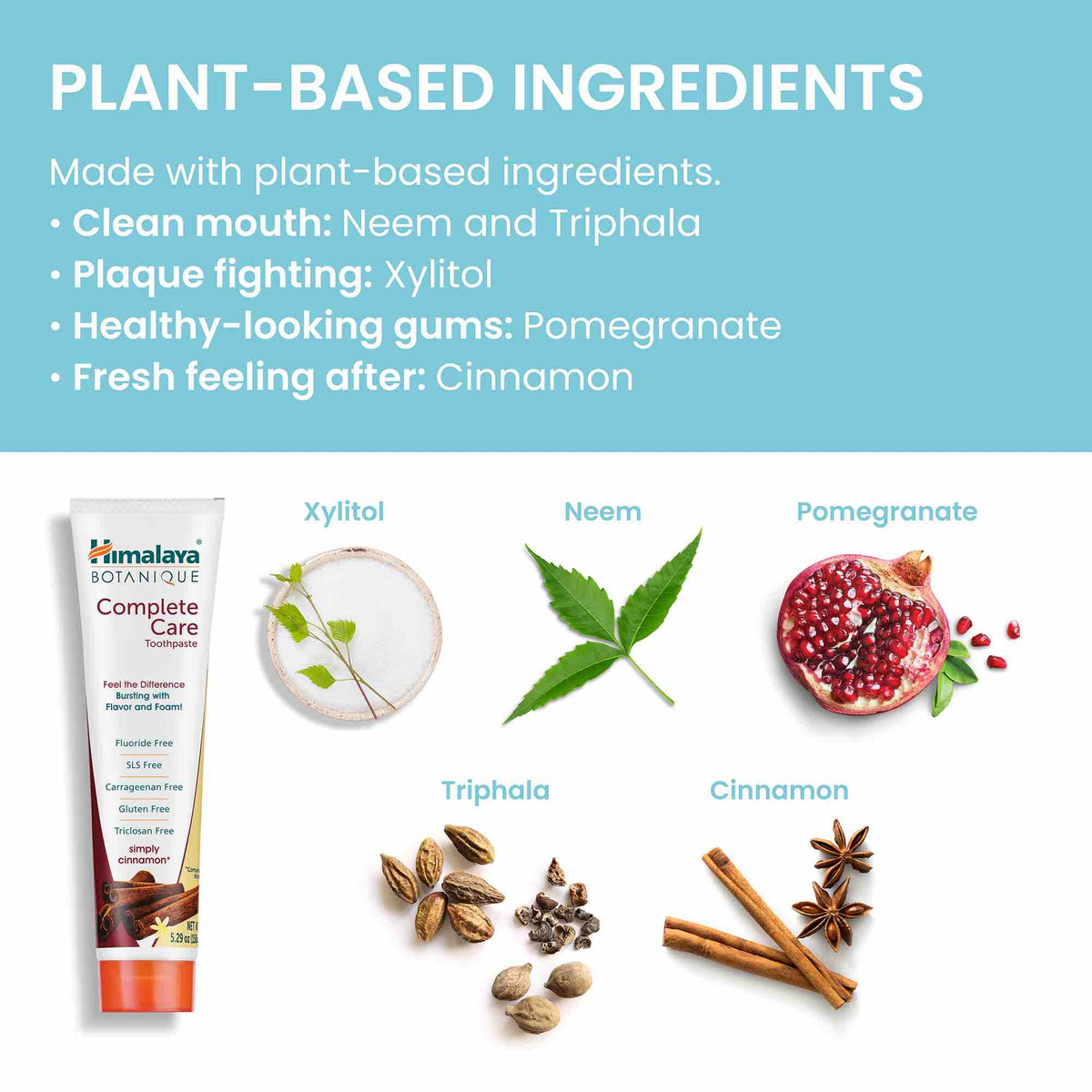 Routine Ready Complete Care Toothpaste for daily home and personal routines with oral care