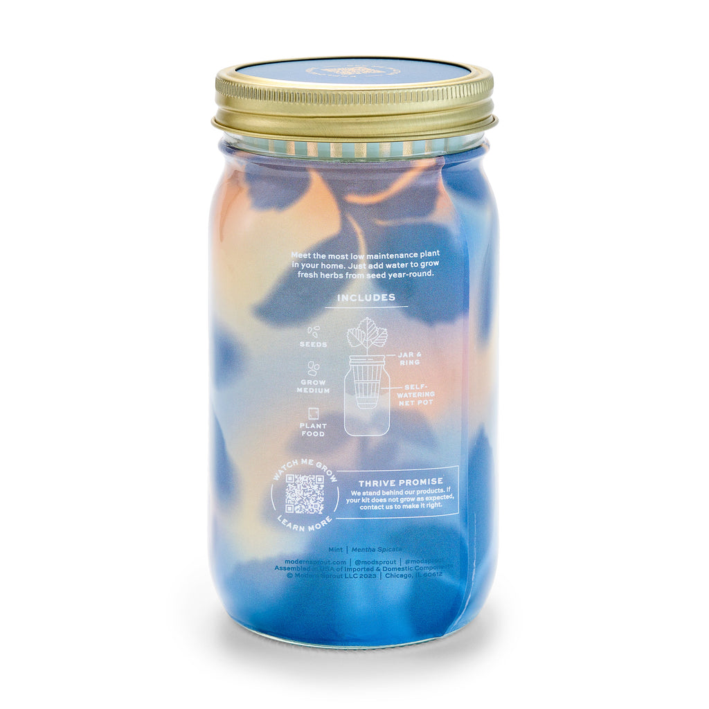 Routine Ready Garden Jar for daily home and personal routines with garden plant and outdoor supplies