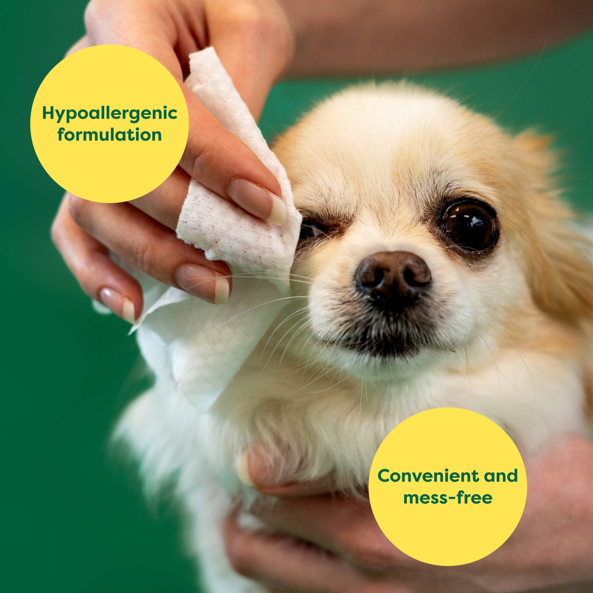 Routine Ready Dog Eye Wipes for daily home and personal routines with pet care treats and accessories