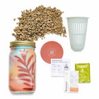 Routine Ready Garden Jar for daily home and personal routines with garden plant and outdoor supplies