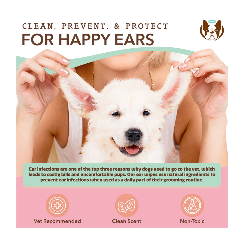 Everyday Home Ear Wipes for daily home and personal routines with cleaning laundry and paper products