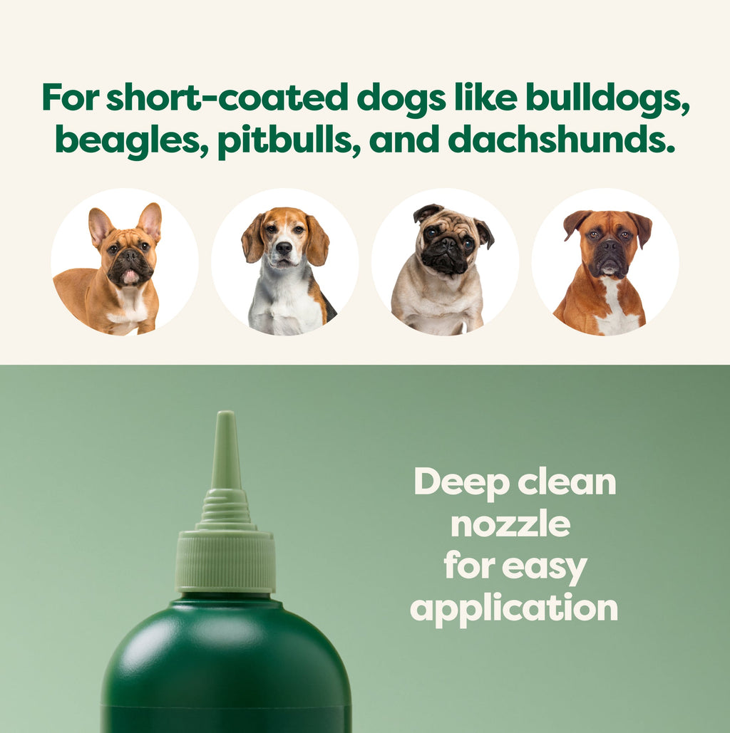 Routine Ready 3-in-1 Short Coat Dog Shampoo for daily home and personal routines with hair care