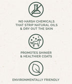 Routine Ready Dog Shampoo Bar for daily home and personal routines with hair care