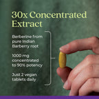 Everyday Home Berberine - 1000mg for daily home and personal routines with general everyday essentials