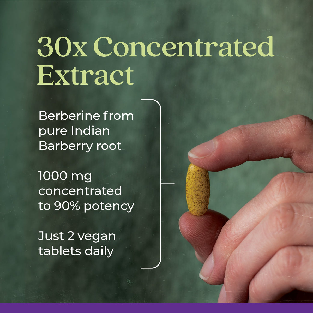 Everyday Home Berberine - 1000mg for daily home and personal routines with general everyday essentials