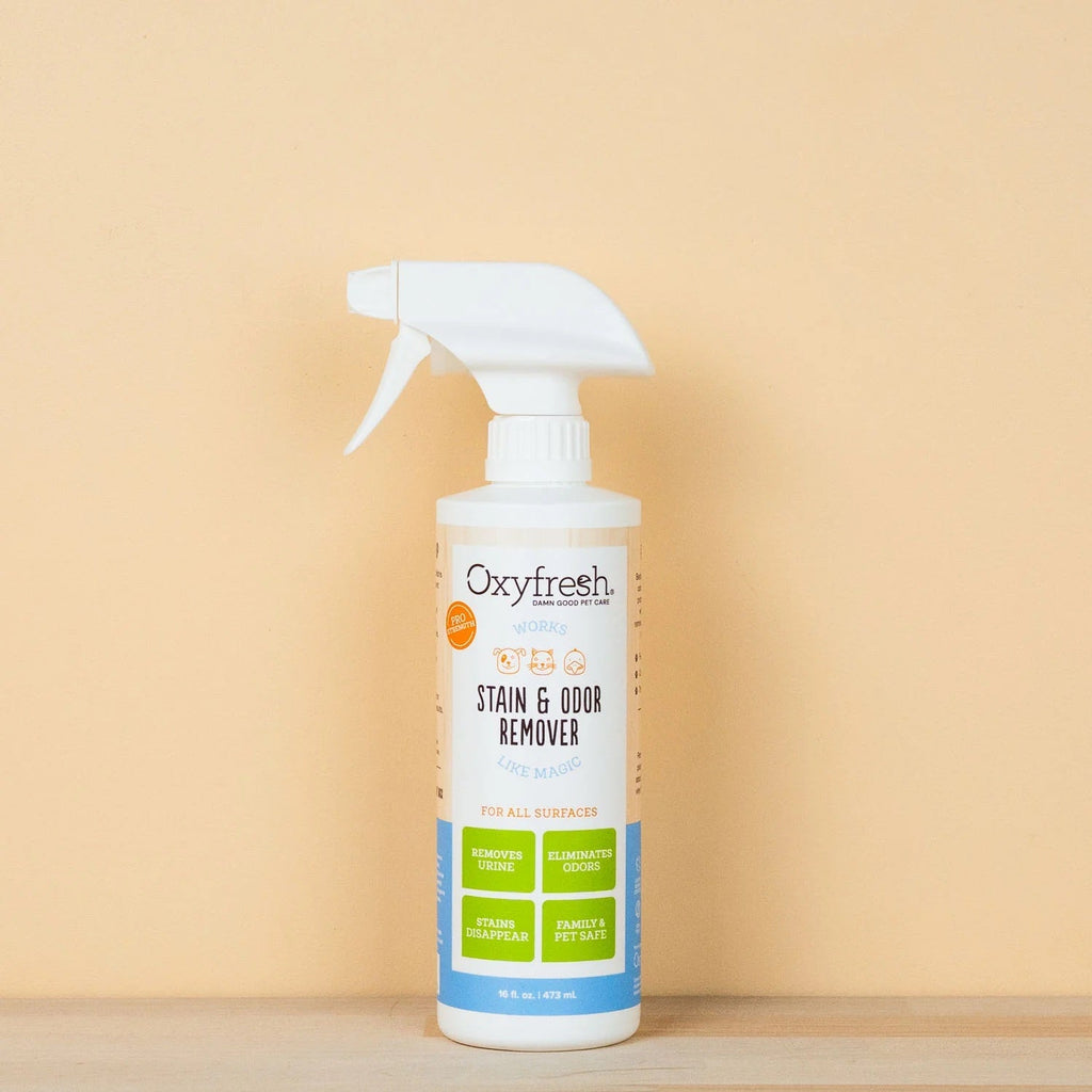 Practical Living All-Surface Pet Stain and Odor Eliminator for daily home and personal routines with facial skin and sun care
