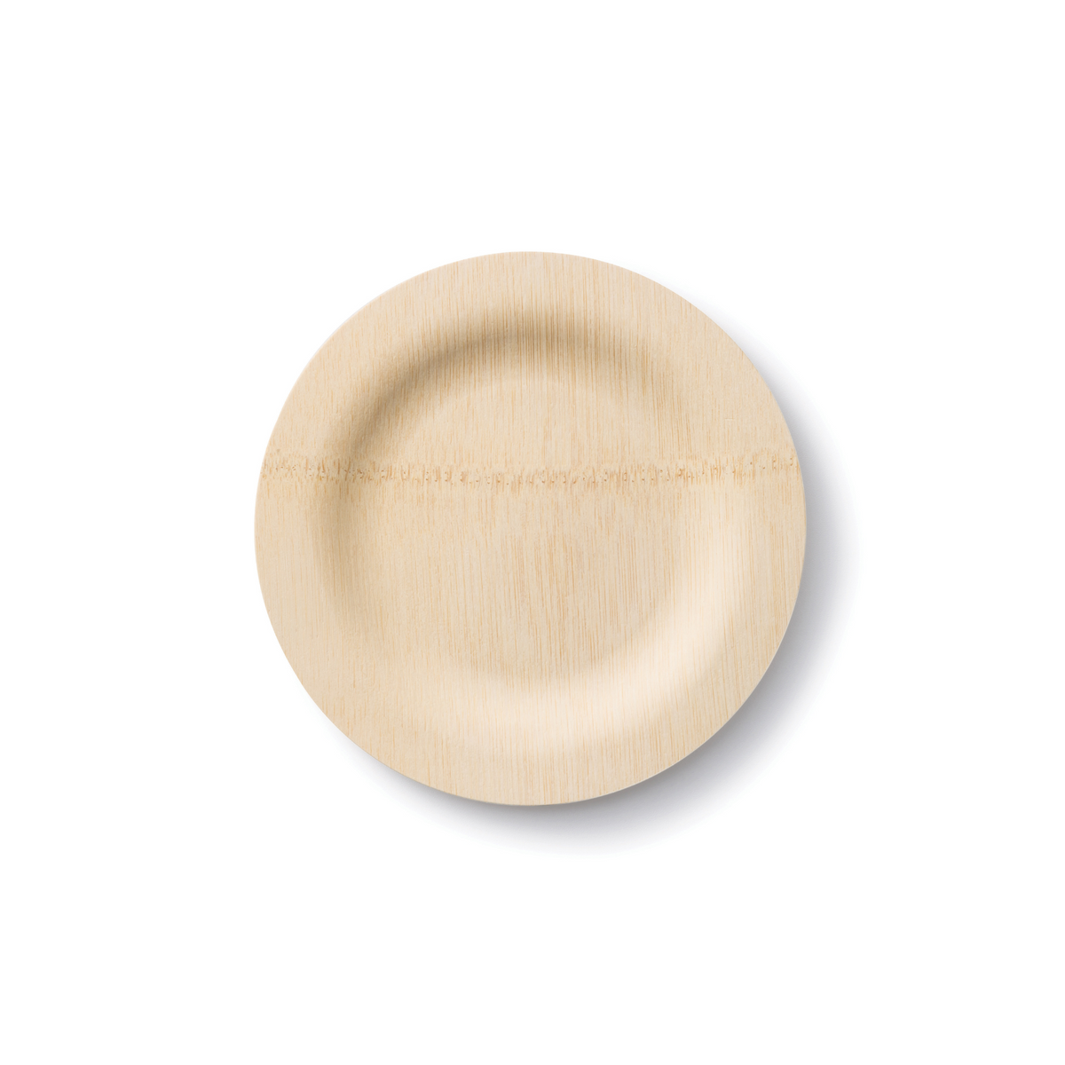 Practical Living Disposable Bamboo Plates for daily home and personal routines with general everyday essentials